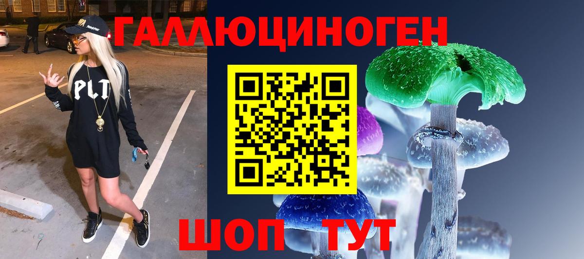 как найти закладки  Вход с VPN  Псилоцибиновые грибы MAGIC MUSHROOMS  Коммунар  Галлюциногенные грибы Psilocybe 